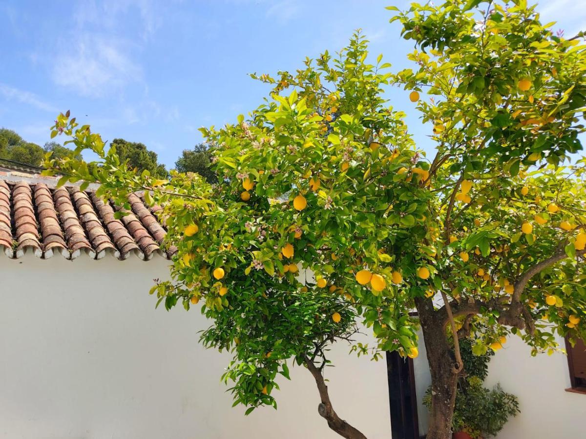 Casa El Patio Del Limon, Con Piscina Villa Montecorto Eksteriør bilde