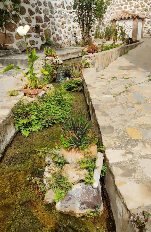 Casa El Patio Del Limon, Con Piscina Villa Montecorto Eksteriør bilde